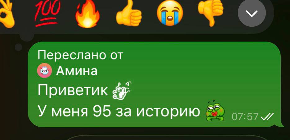 Отзыв Амины — 95 баллов по истории